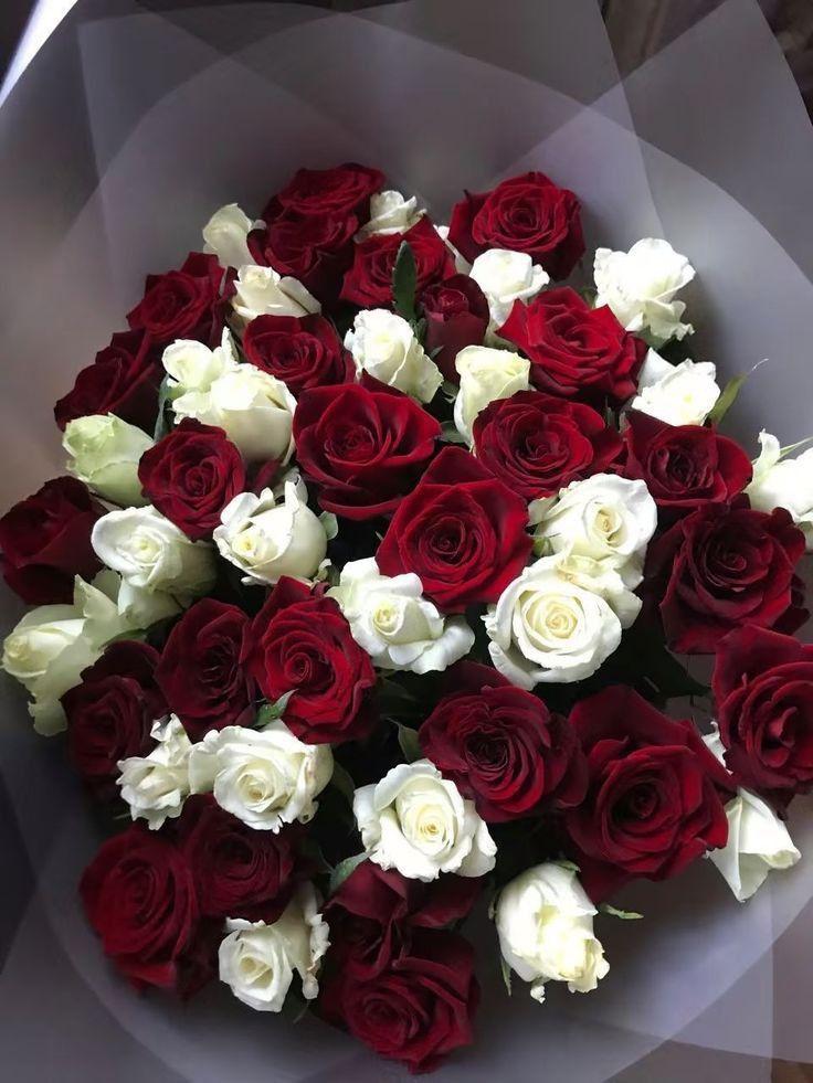 Eternal Harmony: Timeless Elegance in Bloom